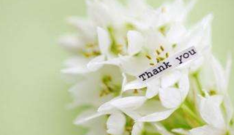 1598339656969083.png image.png