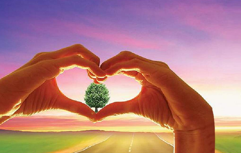 1598513661943385.png image.png