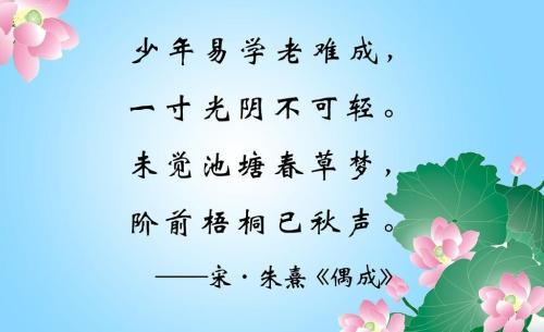 1599392539317338.jpg 1.jpg