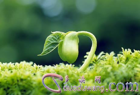 u=2102426729,3245871552&fm=26&gp=0.jpg