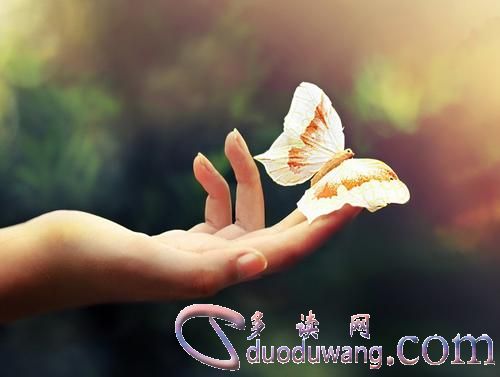 u=3083009848,1050745951&fm=26&gp=0.jpg