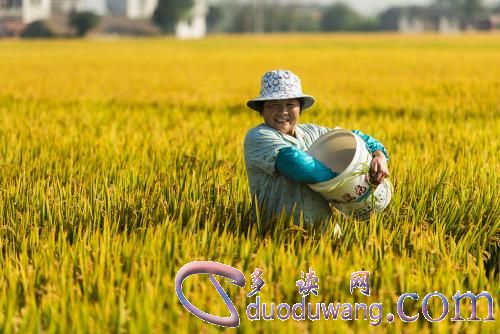 1602985876564525.jpg u=1640073933,3074803855&fm=26&gp=0.jpg