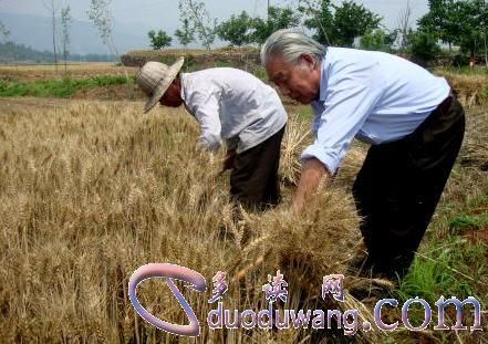 1602985880878333.jpg u=2866573947,1538254510&fm=26&gp=0.jpg