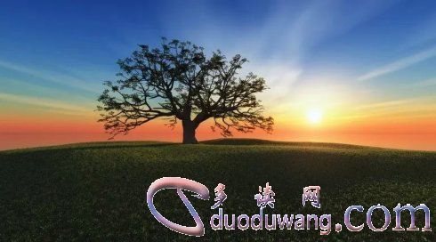 u=3918247862,1651050860&fm=26&gp=0.jpg