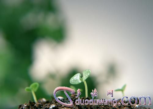 u=2853235853,185634671&fm=26&gp=0.jpg