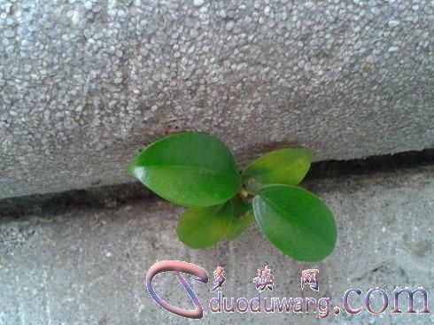 u=374321717,3312971933&fm=26&gp=0.jpg