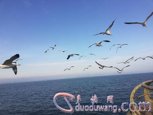 u=1093730595,3640258575&fm=26&gp=0.jpg
