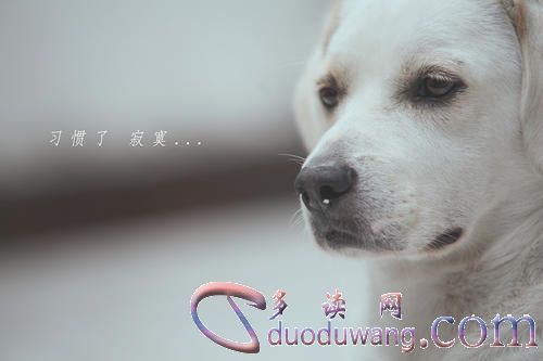 u=3242819275,3613846332&fm=26&gp=0.jpg