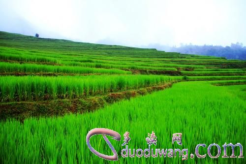 1614046901778418.jpg u=3629301871,3862477076&fm=26&gp=0.jpg