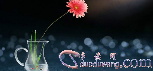u=3703563150,675580484&fm=26&gp=0.png