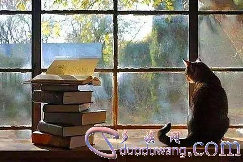 1622073953784977.jpg download.jpg