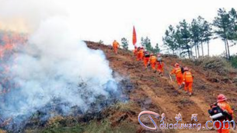 1622125000884505.png image.png