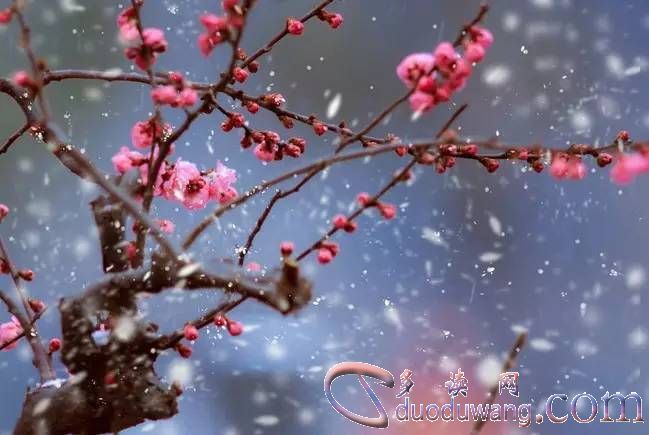 src=http___5b0988e595225.cdn.sohucs.com_images_20180105_ffb14a2726ed4674ba3a5f178305c21d.jpeg&refer=http___5b0988e595225.cdn.sohucs.jpg