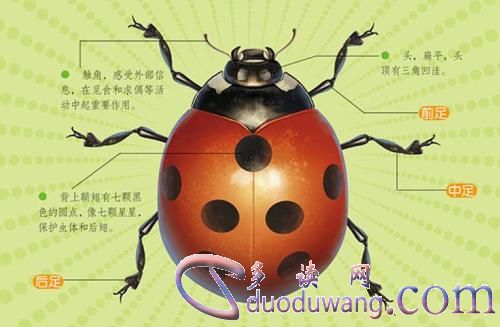 1631327155740916.jpg src=http___i.serengeseba.com_uploads_i_2_3065627562x2488306404_26.jpg&refer=http___i.serengeseba.jpg