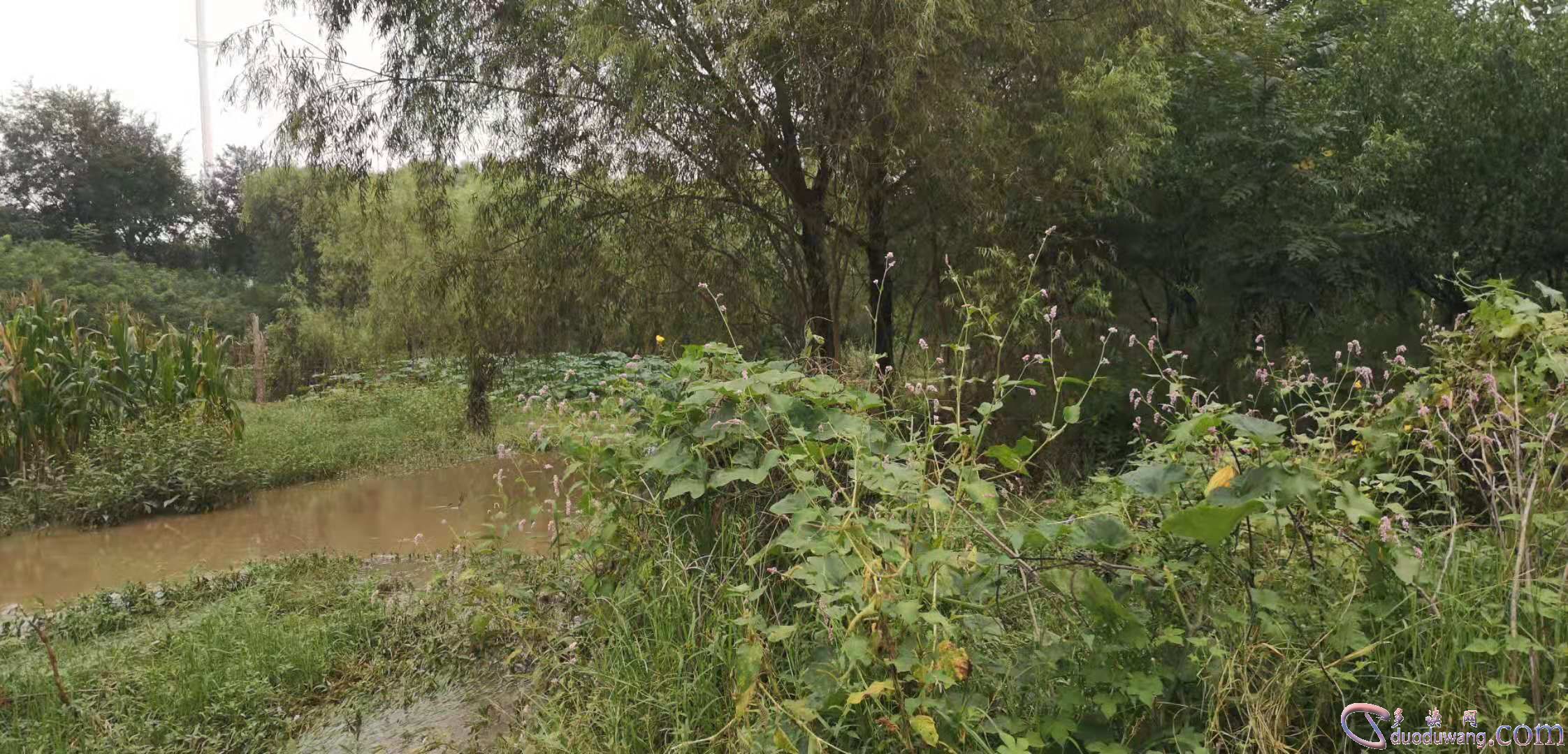 1632192652679412.jpg b449c657925d48dfbc61d50491e82cd7.jpg