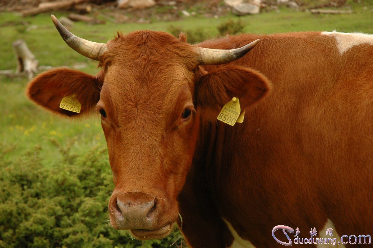 1633591958136936.jpg R-C (21).jpg