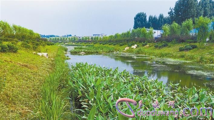 1633760896496894.jpg R-C (13).jpg