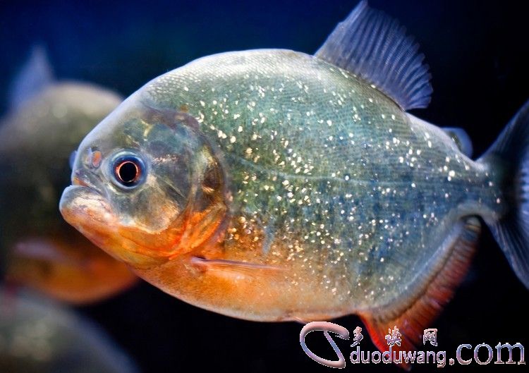 1634092789898757.jpg v2-8df3c4ae2e02bdaeb3355293195766ee_r.jpg