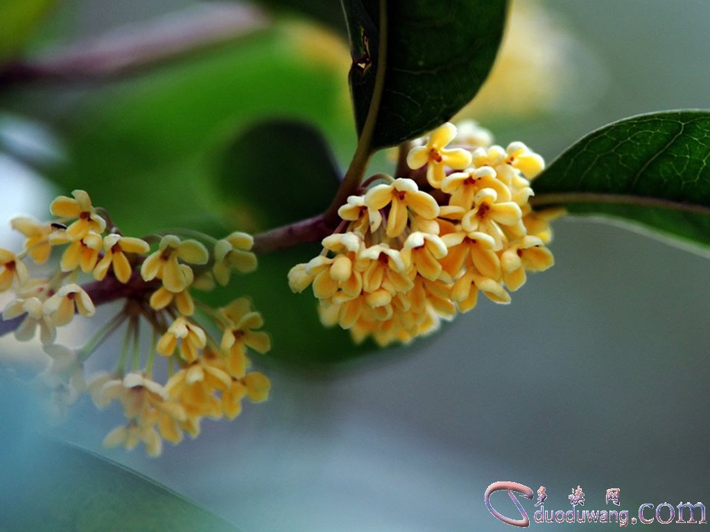 1635063500409133.jpg R-C (19).jpg