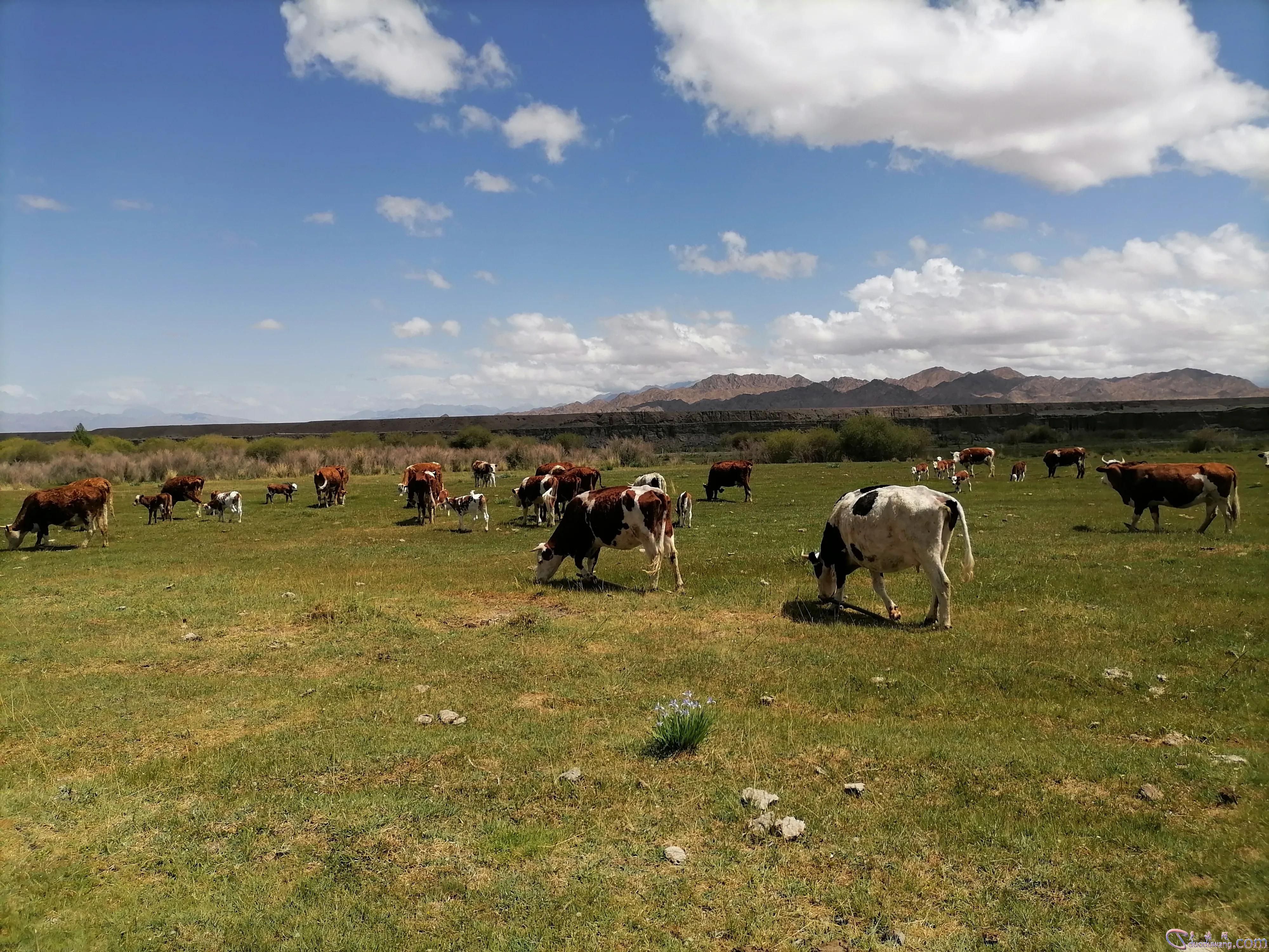 1635408163519123.jpg 87a44483632f4140ad2fb14695450ee3.jpg