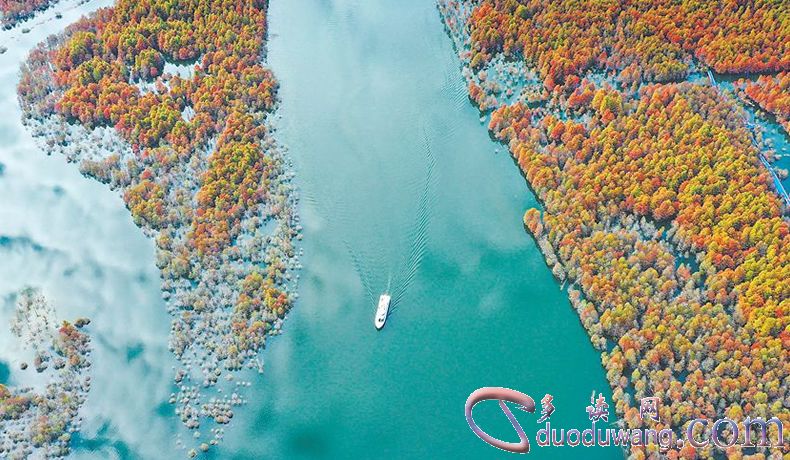 1635497189994337.jpg R-C (8)21542.jpg