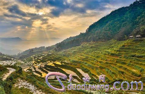 1635657910408391.jpg OIP-C (11).jpg