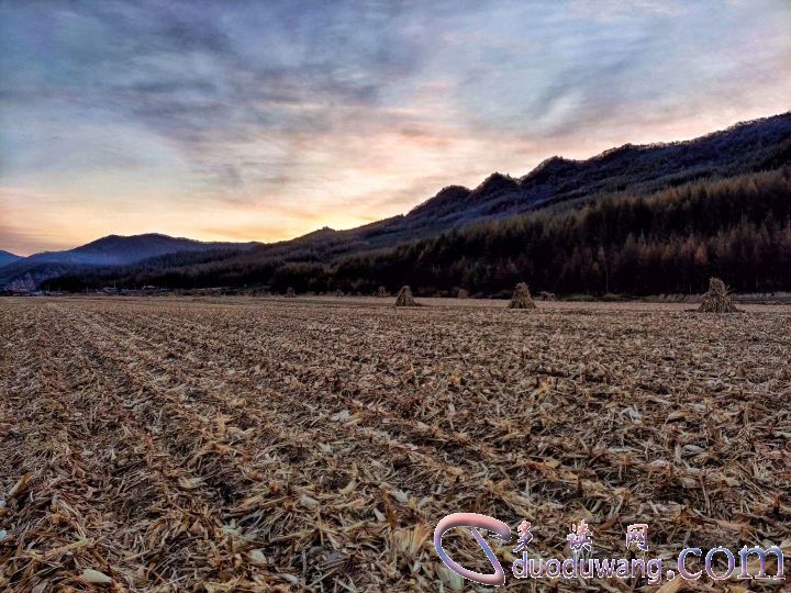 1635838397573009.jpg 593755867e964945915a4a353a9d95e2.jpg