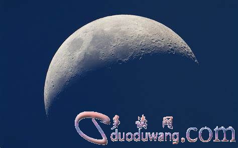 1635923252873041.jpg OIP-C (6).jpg