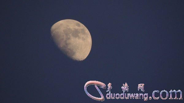 1636266312356209.jpg 236089.jpg