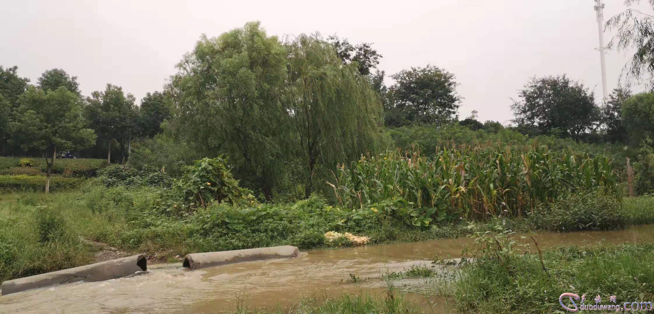 1636351868256246.jpg 698dd65456ae4482b46db5818ca8feea.jpg