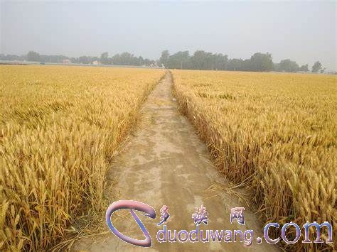 1636686882272798.jpg OIP-C45454.jpg