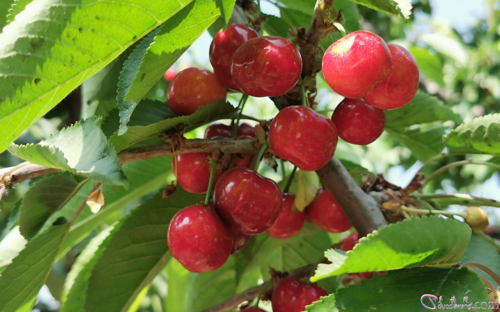 1636687639459239.jpg 0a55-itvqcca8208104.jpg