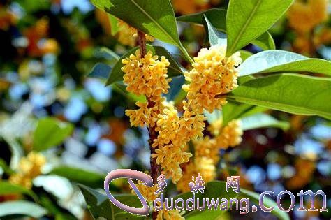 1637396464422104.jpg OIP-C (9).jpg