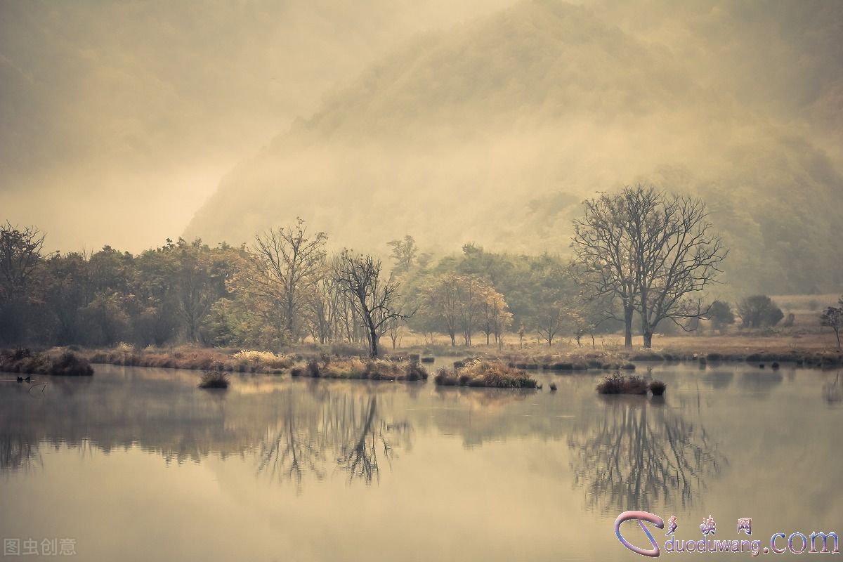 1637396544365403.jpg cb07a7d5eed241c59f0f631c88905573.jpg