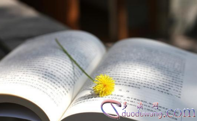 1641178998761760.png image.png