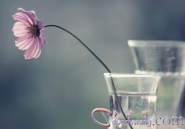 1642643706776256.png image.png