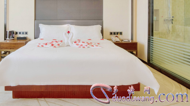 1646542117117216.png image.png