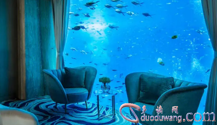 1677647319309010.png image.png