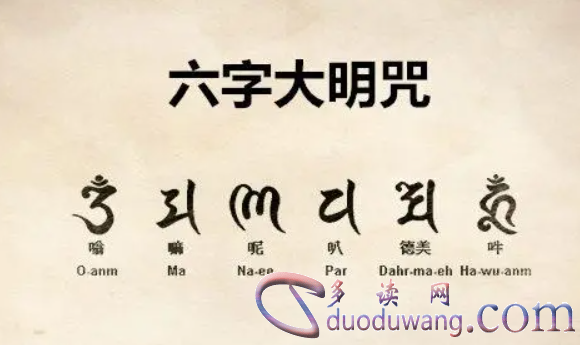 1706874232962536.png image.png