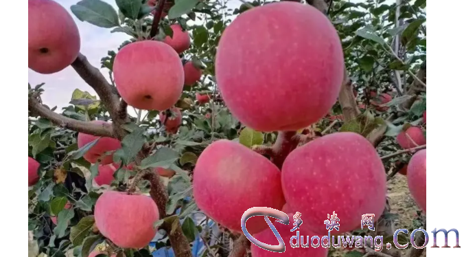 1711001884783071.png image.png