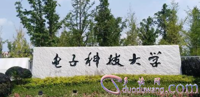 1711006645707070.png image.png