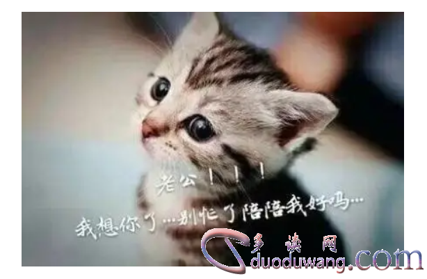 1711088079212843.png image.png