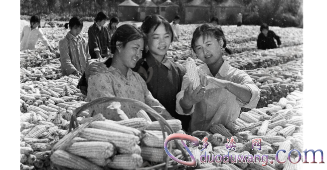 1711090482707695.png image.png