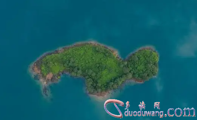 1711439790146980.png image.png