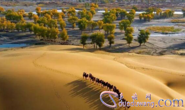 1711439851775825.png image.png