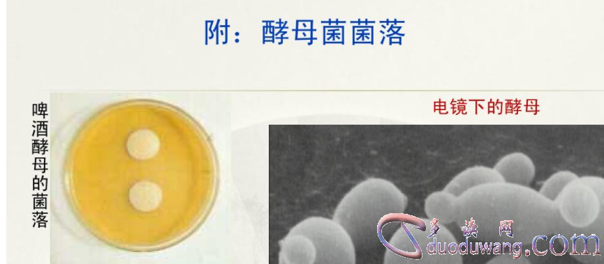 1711792727695032.png image.png