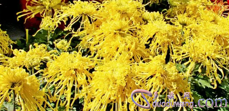 1711793301129003.png image.png