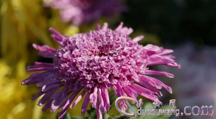 1711793311132878.png image.png