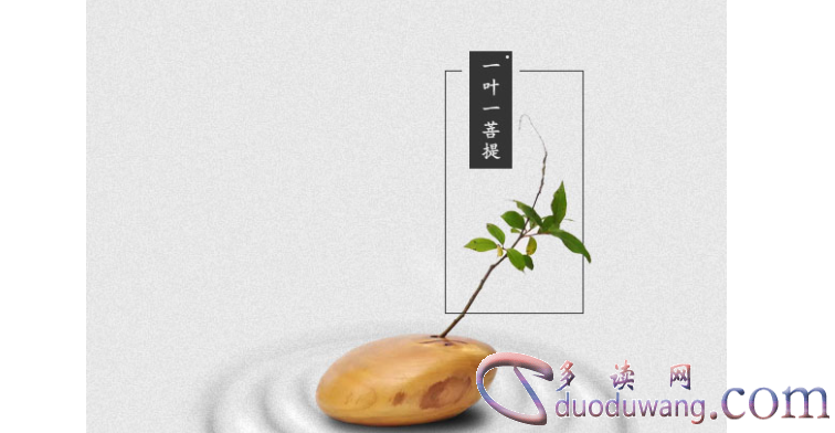 1712145220314540.png image.png