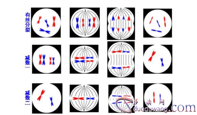 1715690122785764.png image.png